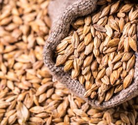 WhatsApp Image 2025-03-24 at 14.47.01_421fab4c