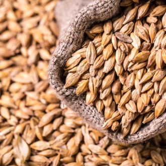 Barley