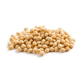 soyabean